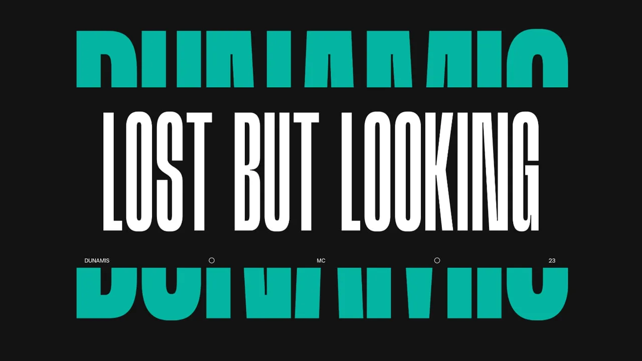 Lost but Looking | Chris Donald